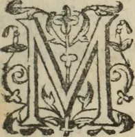 An illustration from Memoires d'estat (1622)