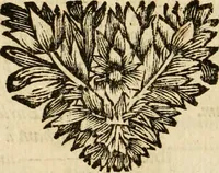 An illustration from Memoires et instructions pour les ambassadeurs, ou, Lettres et negotiations de Walsingham ... : avec les maximes politiques de ce ministre, & des remarques sur la vie des principaux ministres & favoris de cette princesse (1700)