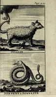 An illustration from Memoires et observations faites par un voyageur en Angleterre : sur ce qu'il y a trouvé de plus remarquable, tant à l'égard de la religion, que de la politique, des moeurs, des curiositez naturelles, & quantité de faits historiques, avec une description particuliere de ce qu'il y a de plus curieux dans Londres, le tout enrichi de figures (1698)