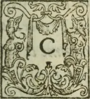 An illustration from Memoires et recueil de l'origine, alliances, & succession de la royale famille de Bourbon, branche de la Maison de France. Ensemble de l'histoire, gestes, & seruices plus memorables, faictz par les princes d'icelle aux Rois & Courõne de France (1587)