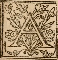 An illustration from The memoires of the Duke of Rohan : or, A faithful relation of the most remarkable occurrences in France, especially concerning those of the reformed churches there. From the death of Henry the Great, untill the peace made with them, in June, 1629 ; Together with divers politick discourses upon several occasions. Written originally in French (1660)