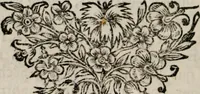 Picture 6 of 20 from Memoires, pour servir a l'histoire de Hollande & des autres provinces-unies .. (1680), leaf 203