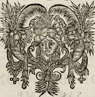 An illustration from Memoires, pour servir a l'histoire de Hollande & des autres provinces-unies .. (1680)