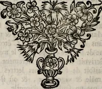 An illustration from Memoires, pour servir a l'histoire de Hollande & des autres provinces-unies .. (1680)