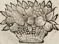 Picture 16 of 20 from Memoires, pour servir a l'histoire de Hollande & des autres provinces-unies .. (1680), leaf 358