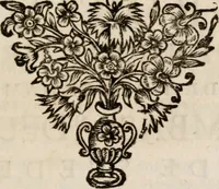 An illustration from Memoires, pour servir a l'histoire de Hollande & des autres provinces-unies .. (1680)
