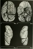 An illustration from Memoirs (1783)