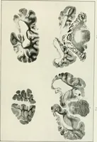 Picture 5 of 89 from Memoirs (1783), leaf 154