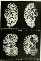 Picture 12 of 89 from Memoirs (1783), leaf 168