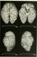 Picture 13 of 89 from Memoirs (1783), leaf 170