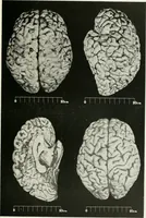 An illustration from Memoirs (1783)