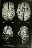 An illustration from Memoirs (1783)