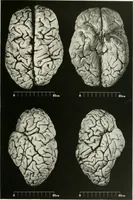 An illustration from Memoirs (1783)