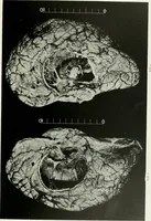 An illustration from Memoirs (1783)