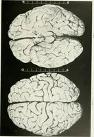 Picture 33 of 89 from Memoirs (1783), leaf 286