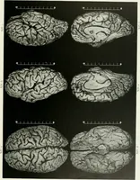 Picture 34 of 89 from Memoirs (1783), leaf 288