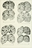 An illustration from Memoirs (1783)