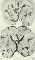 An illustration from Memoirs (1783)