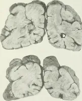 An illustration from Memoirs (1783)