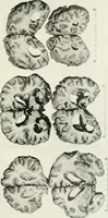 An illustration from Memoirs (1783)