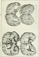 An illustration from Memoirs (1783)