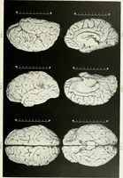 Picture 55 of 89 from Memoirs (1783), leaf 322