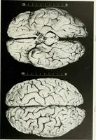 Picture 56 of 89 from Memoirs (1783), leaf 324