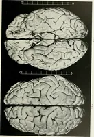 Picture 62 of 89 from Memoirs (1783), leaf 330