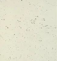 Picture 76 of 89 from Memoirs (1783), leaf 456