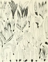 An illustration from Memoirs (1783)