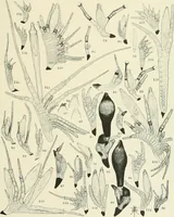 An illustration from Memoirs (1783)