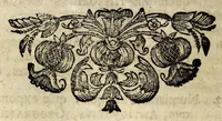 An illustration from Memorabilia Bibliothecae publicae Elisabetanae Wratislaviensis : à fundatore celeberrimo Rehdigerianae dictae, quae A. O. R. M.DC.XCIIX. die xv Maji, in actu gymnastico à studiosa Gymnasii Elisabetani juventute (1699)