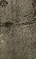 An illustration from Memorial exhibition of the works of the late J. McNeill Whistler, first president of the International Society of Sculptors, Painters, and Gravers, in the New Gallery, Regent Street, London, from the twenty-second of February to the thirty-first of March (1905)