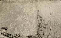 Picture 40 of 54 from Memorial exhibition of the works of the late J. McNeill Whistler, first president of the International Society of Sculptors, Painters, and Gravers, in the New Gallery, Regent Street, London, from the twenty-second of February to the thirty-first of March (1905), leaf 204
