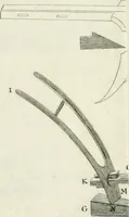 An illustration from Memorias sobre la granza, ò rubia, y su cultivo; con la descripción de los molinos para reducirla a polvo. Traducidas del francès de orden de la Real Junta General de Comercio (1763)