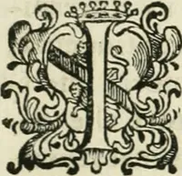An illustration from Memorie del calcio fiorentino : tratte da diverse scritture e dedicate all' Altezze Serenissime di Ferdinando principe di Toscana e Violante Beatrice di Baviera (1688)