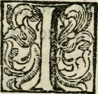 An illustration from Memorie de' viaggi e feste per le reali nozze de' serenissimi sposi Violante Beatrice di Baviera, e Ferdinando principe di Toscana (1688)
