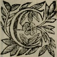An illustration from Memorie, imprese, e ritratti de' signori Accademici Gelati de Bologna (1672)