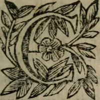 An illustration from Memorie, imprese, e ritratti de' signori Accademici Gelati de Bologna (1672)