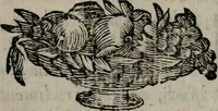 An illustration from Memorie, imprese, e ritratti de' signori Accademici Gelati de Bologna (1672)