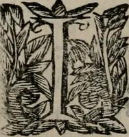 An illustration from Memorie, imprese, e ritratti de' signori Accademici Gelati de Bologna (1672)