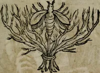 Picture 123 of 257 from Memorie, imprese, e ritratti de' signori Accademici Gelati de Bologna (1672), leaf 212
