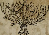 Picture 129 of 257 from Memorie, imprese, e ritratti de' signori Accademici Gelati de Bologna (1672), leaf 220