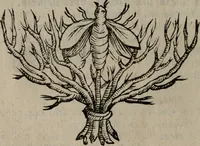 Picture 6 of 257 from Memorie, imprese, e ritratti de' signori Accademici Gelati de Bologna (1672), leaf 23