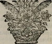 Picture 144 of 257 from Memorie, imprese, e ritratti de' signori Accademici Gelati de Bologna (1672), leaf 247