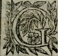 Picture 150 of 257 from Memorie, imprese, e ritratti de' signori Accademici Gelati de Bologna (1672), leaf 252