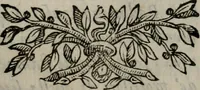 An illustration from Memorie, imprese, e ritratti de' signori Accademici Gelati de Bologna (1672)
