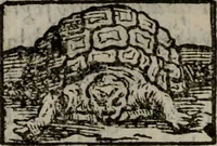 An illustration from Memorie, imprese, e ritratti de' signori Accademici Gelati de Bologna (1672)