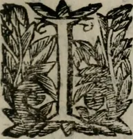 An illustration from Memorie, imprese, e ritratti de' signori Accademici Gelati de Bologna (1672)