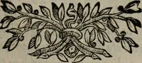 An illustration from Memorie, imprese, e ritratti de' signori Accademici Gelati de Bologna (1672)